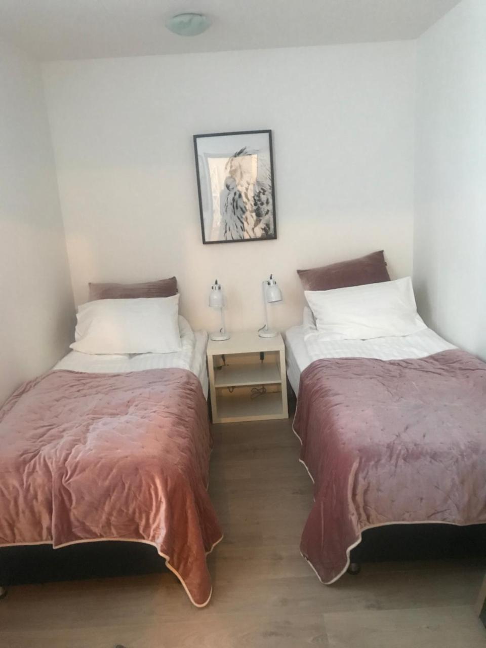 10B Gamla Laeknishusith Hg15108 Hotel Saudarkrokur Ngoại thất bức ảnh